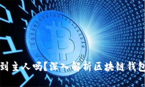 tpWallet能查到主人吗？深入解析区块链钱包的隐私与安全