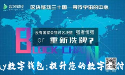   
Topay数字钱包：提升您的数字支付体验