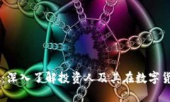 tpWallet：深入了解投资人及