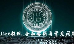 tpWallet提现：全面解析与常