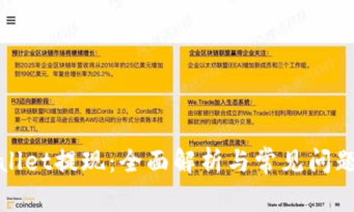 tpWallet提现：全面解析与常见问题解答