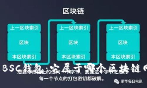 理解BSC钱包：它属于哪个区块链网络？