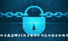 冷钱包里的币存在哪里？