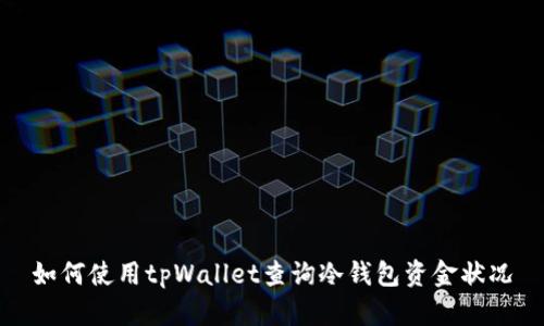 如何使用tpWallet查询冷钱包资金状况