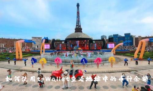 如何使用tpWallet查看地址中的币种余额