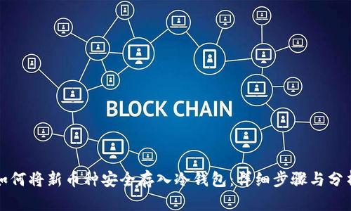 如何将新币种安全存入冷钱包：详细步骤与分析