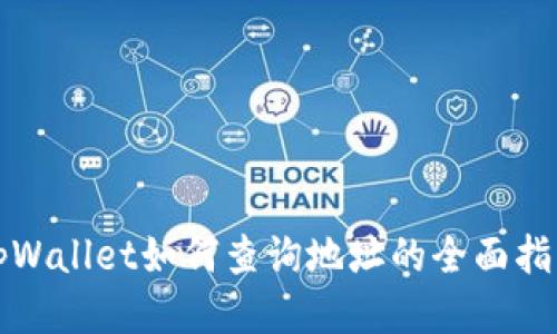 tpWallet如何查询地址的全面指南