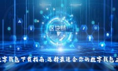  数字钱包下载指南：选择