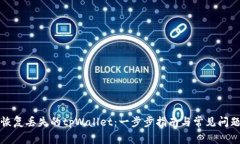 如何恢复丢失的tpWallet：一步步指南与常见问题解
