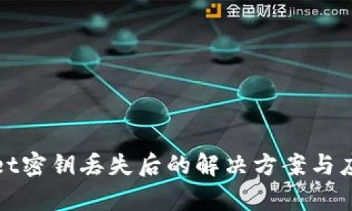 tpWallet密钥丢失后的解决方案与应对策略
