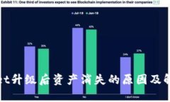 tpWallet升级后资产消失的原