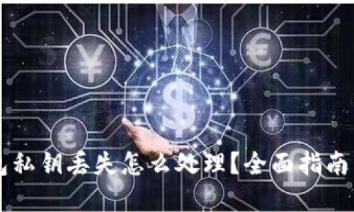 币圈冷钱包私钥丢失怎么处理？全面指南与解决方案