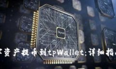 如何将善盾的数字资产提币到tpWallet：详细指南及