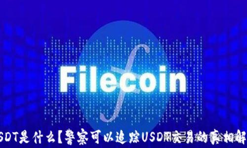 
USDT是什么？警察可以追踪USDT交易的真相解析