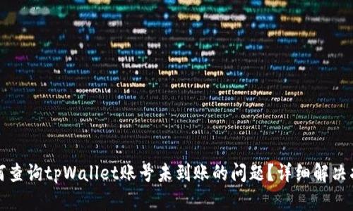 如何查询tpWallet账号未到账的问题？详细解决指南