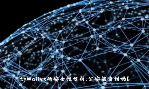 tpWallet的安全性分析：公安能查到吗？
